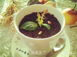 盆栽酸奶的做法步骤:4