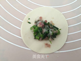 虾仁青菜饺子的做法步骤:13