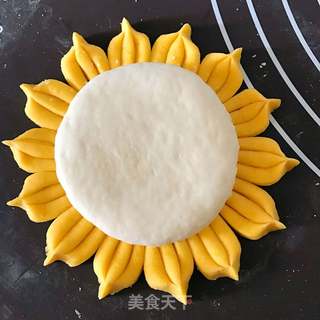 向日葵馒头的做法步骤:6