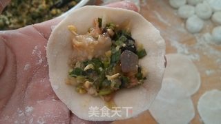 大白菜猪肉水饺的做法步骤:7