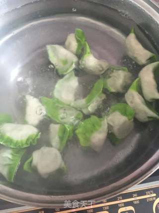 翡翠饺子的做法步骤:7