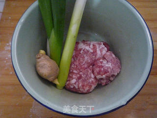 猪肉大葱包子的做法步骤:2