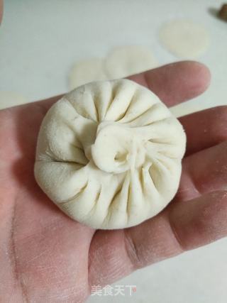 鲜肉白萝卜水煎包的做法步骤:10