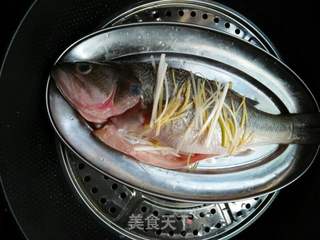 【广东】广式清蒸鱼的做法步骤:6