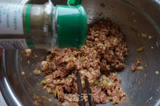 【天津】猪肉豆角馅饺子的做法步骤：4