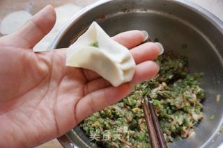 【天津】猪肉豆角馅饺子的做法步骤:12