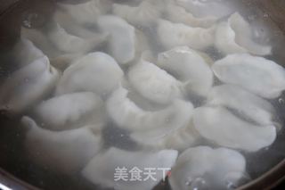 【天津】猪肉豆角馅饺子的做法步骤：15