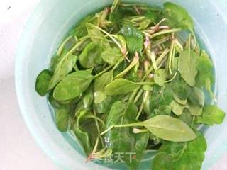 【苏州】松仁菠菜粥的做法步骤:2