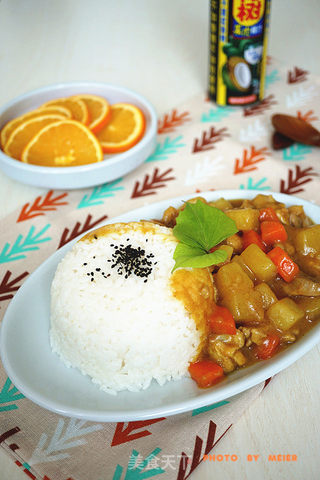 【东南亚】咖喱鸡肉饭的做法步骤:9
