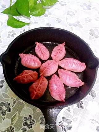 【东北】酸菜猪肉煎饺的做法步骤:6