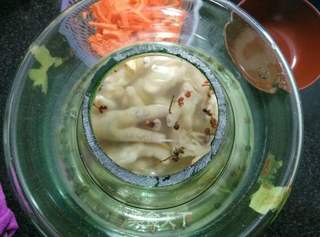 【重庆】过年开胃菜---泡椒凤爪的做法步骤:9