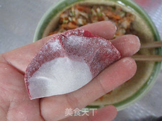 【河南】双色饺子的做法步骤:15