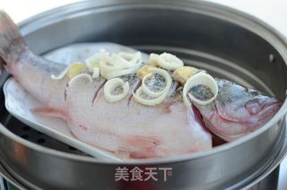 【广东】清蒸鲈鱼的做法步骤:4