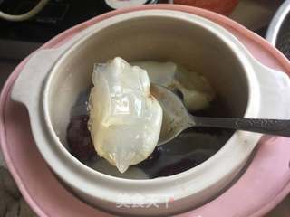 【广东】牛奶炖花胶的做法步骤:8