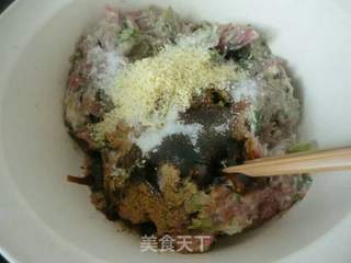 【东北】婆婆丁-山野菜饺子的做法步骤：5