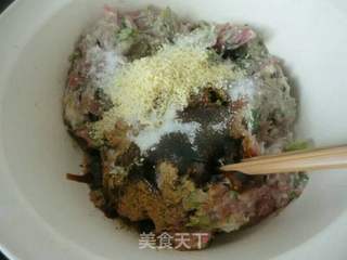 【东北】婆婆丁-山野菜饺子的做法步骤:5