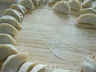 【东北】婆婆丁-山野菜饺子的做法步骤:7