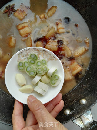 【河北】红烧肉的做法步骤:10