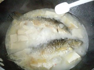 【天津】鲫鱼豆腐汤的做法步骤:6
