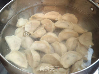 黑木耳胡萝卜猪肉馅水饺的做法步骤:8