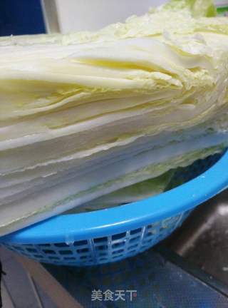 腌盐白菜的做法步骤:5