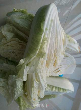 腌盐白菜的做法步骤:6