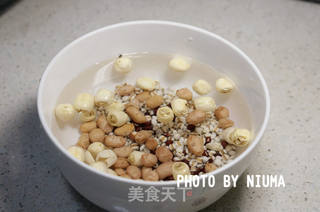 莲子薏米糖水的做法步骤:2