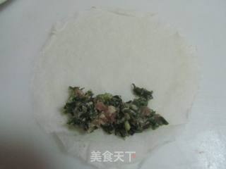 荠菜春卷的做法步骤:6