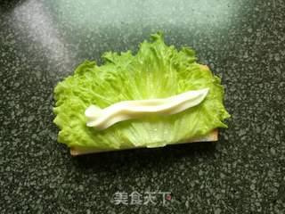 简易三明治(郊游首选)的做法步骤:8