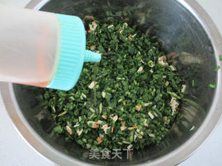 韭菜鲜肉煎饺的做法步骤:5