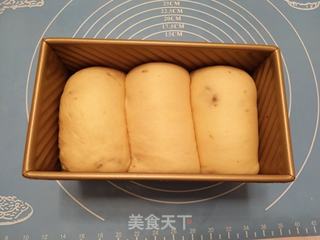 北海道土司的做法步骤:10