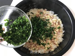 荠菜冬笋饭的做法步骤:8