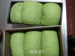 菠菜吐司&三明治的做法步骤:15