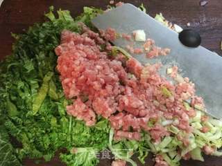 菜肉包的做法步骤:2