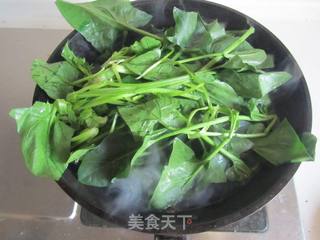 鸡丝炒菠菜的做法步骤:4