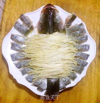 清蒸豆豉鲈鱼的做法步骤：7
