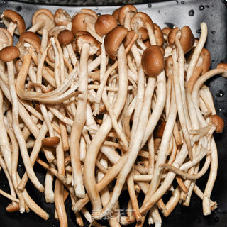 干锅茶树菇的做法步骤:2