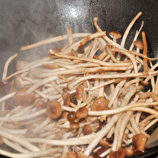干锅茶树菇的做法步骤:10