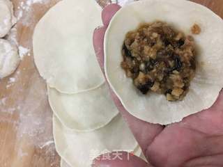 木耳莲藕饺子的做法步骤:9