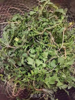 荠菜猪肉水饺的做法步骤:2
