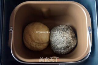 黑芝麻双色馒头的做法步骤:2