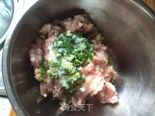 #春食野菜香#荠菜馄饨的做法步骤:4