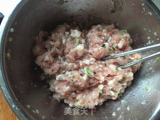 #春食野菜香#荠菜馄饨的做法步骤:5