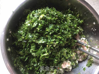 #春食野菜香#荠菜馄饨的做法步骤:8