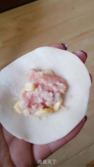 玉米 荸荠鲜肉煎饺的做法步骤:6