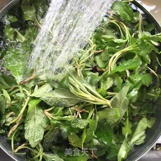 #春食野菜香#凉拌马兰头的做法步骤:2