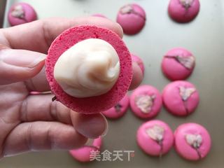 法式樱花马卡龙的做法步骤:15