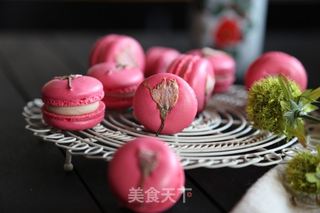 法式樱花马卡龙的做法步骤:17