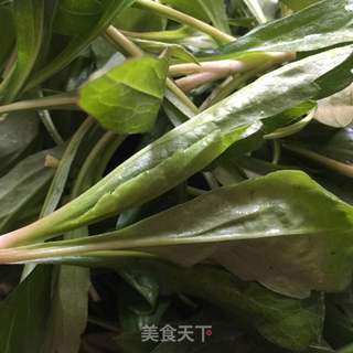 #春食野菜香#凉拌马兰头的做法步骤：1