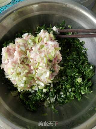 #春食野菜香#荠菜蒸饺的做法步骤:7